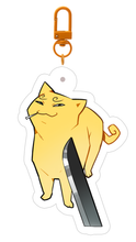 Load image into Gallery viewer, One Piece Arcrylic Charms (PREORDER)